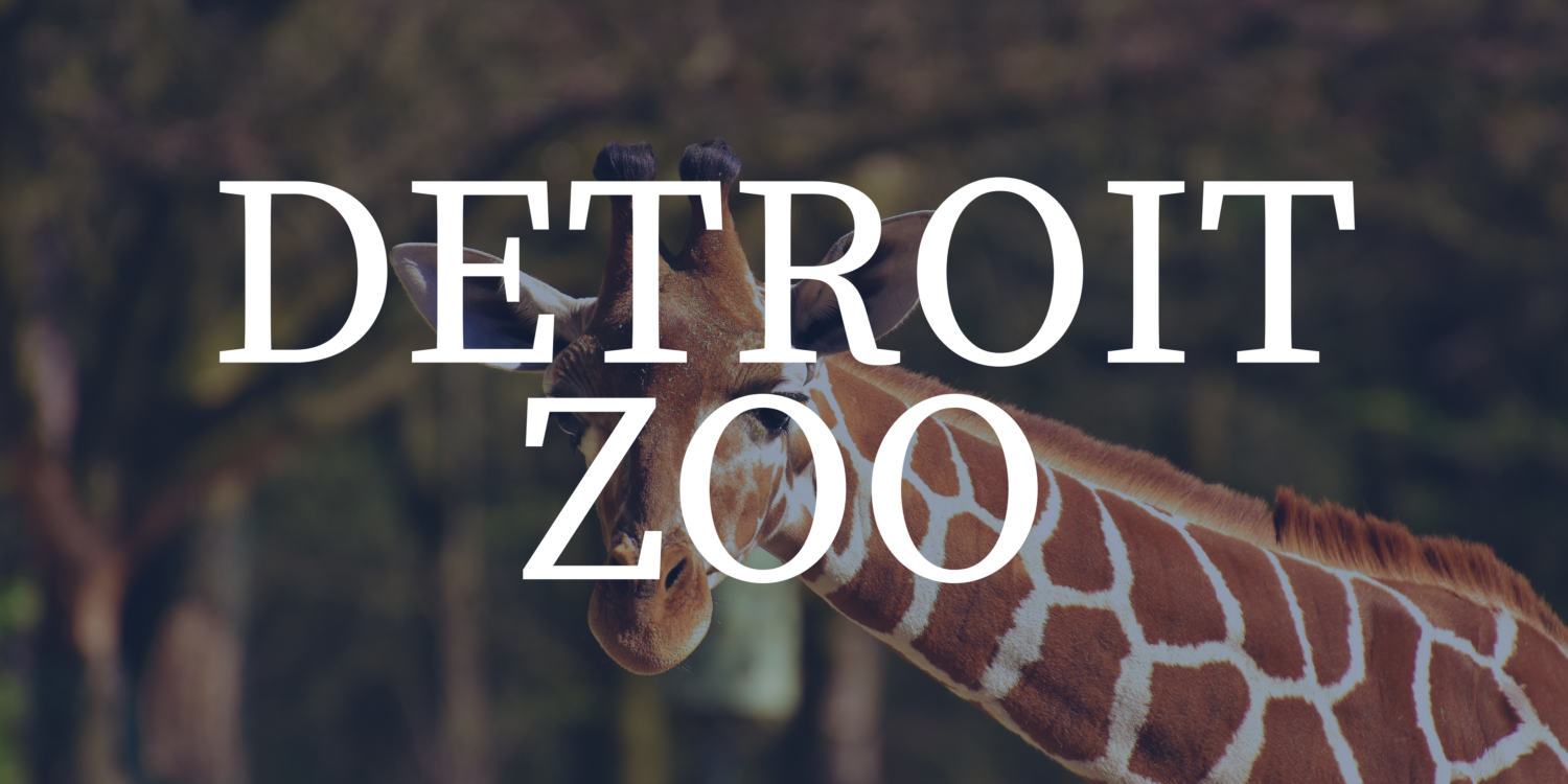 Girraffe with "Detroit Zoo" written over the image