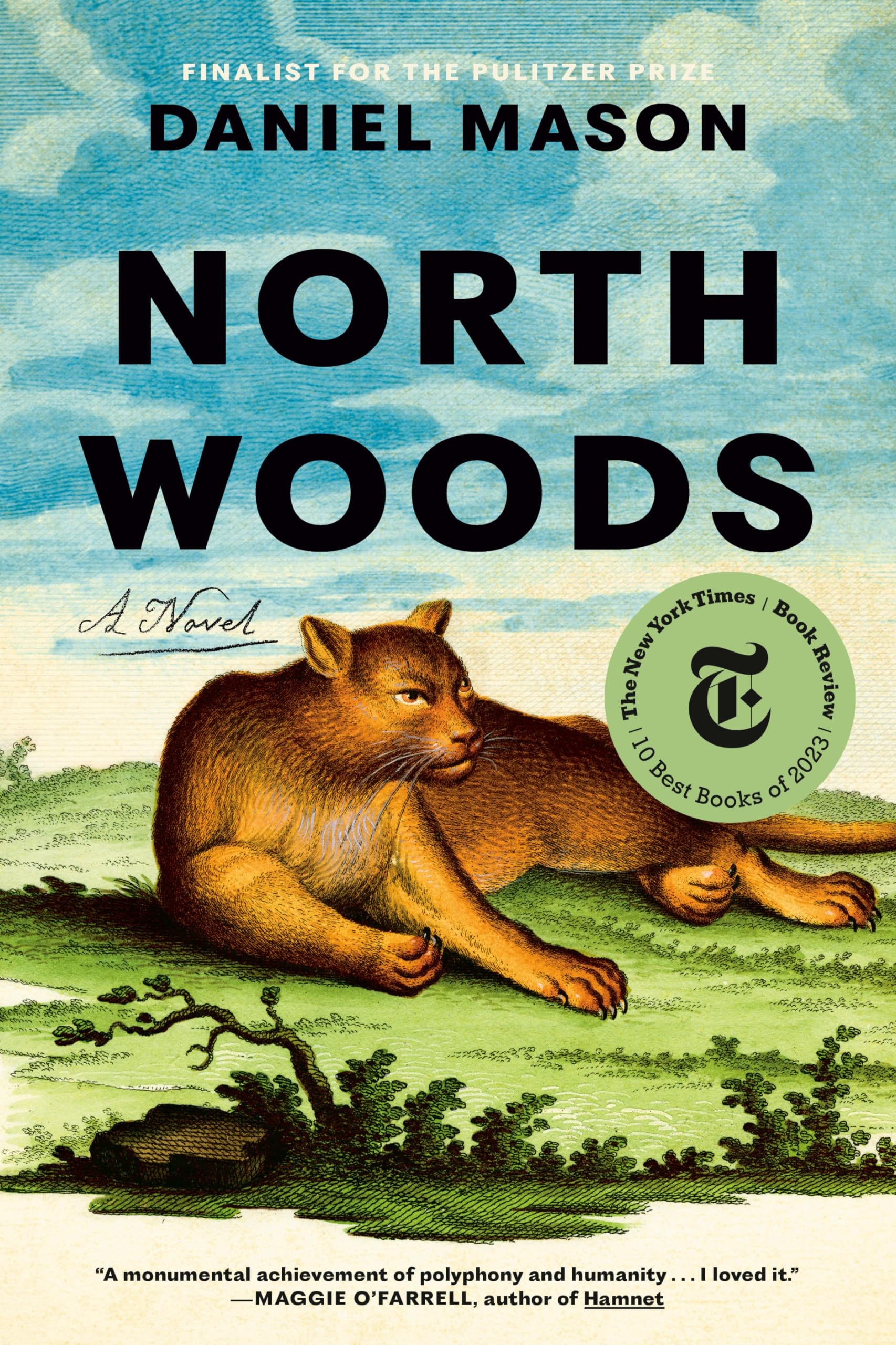 North Woods book cover
