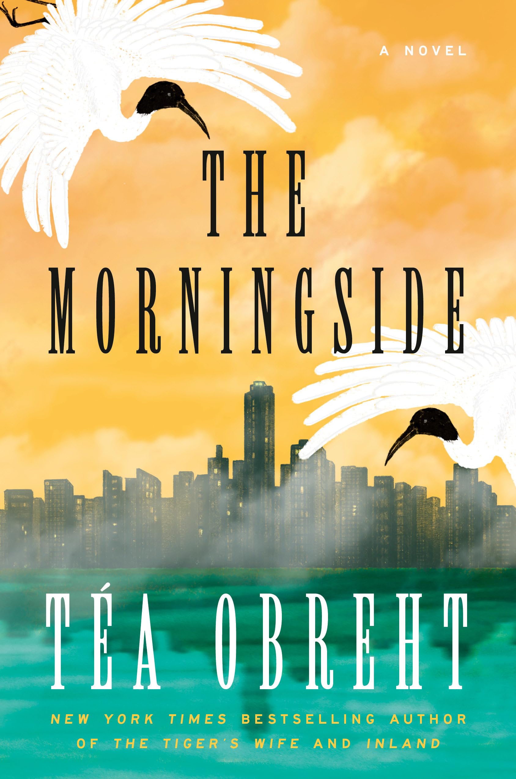 The Morningside book cover

