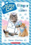 dr. kitty cat cover art